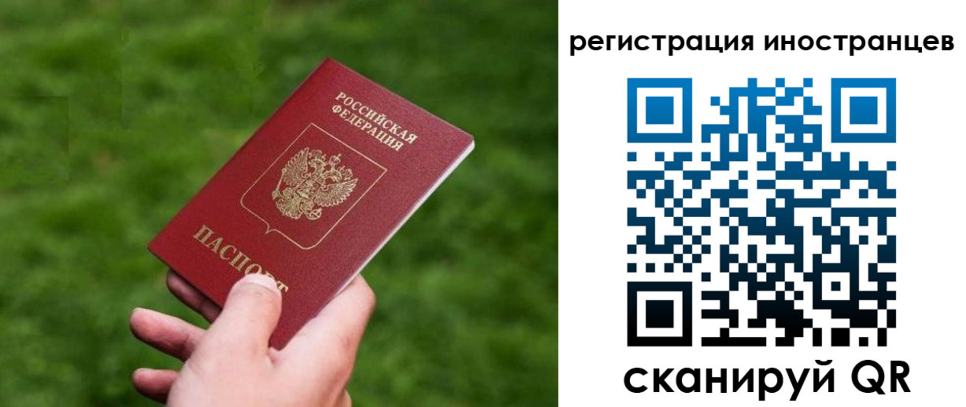 прописка ребенка в Тульской области